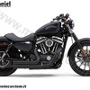 SCARICHI/Scarico_Cobra_Speedster_Short_nero_Sportster_14_19