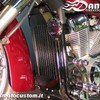 copriradiatore Honda Shadow e Spirit 750 cod 1377, Daniel accessori moto