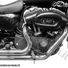 Scarichi Short Cut Sportster cod 657 500, Daniel accessori moto