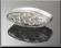 luce mini Cateye LED cod 68 343, Daniel accessori moto